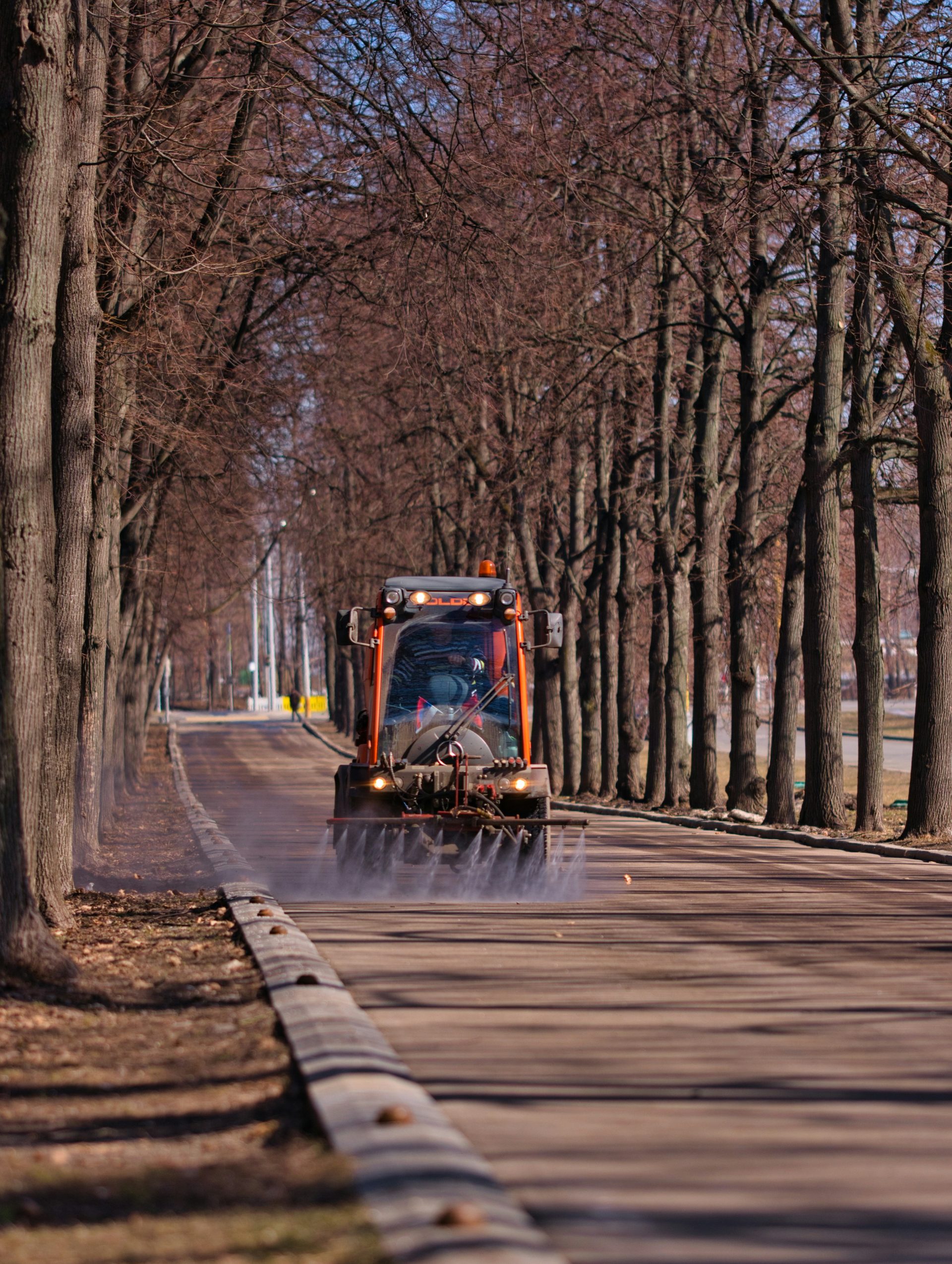 yellow and black heavy equipment on road between bare trees during daytime